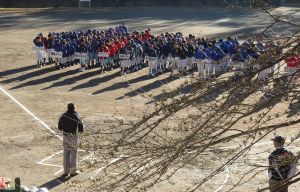 2014aocup03