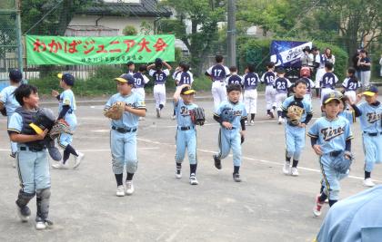 20250426_wakaba